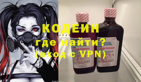 крисы Абаза