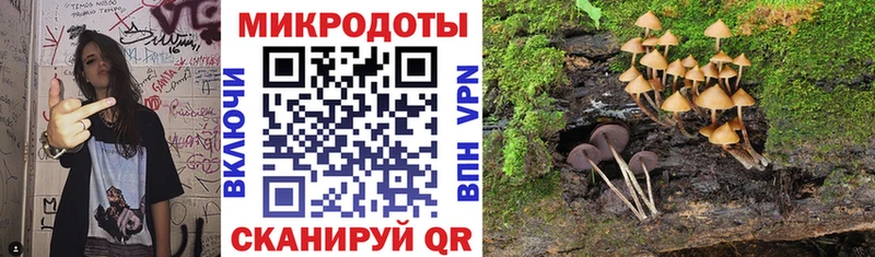 Галлюциногенные грибы Psilocybine cubensis  Александров 